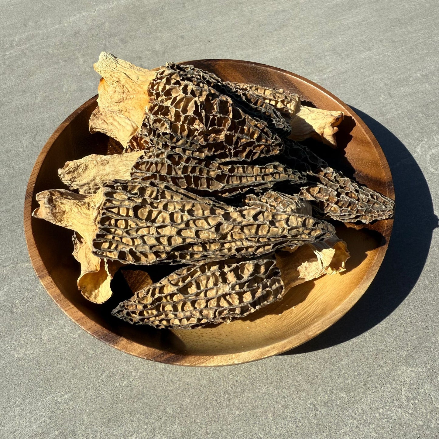 【滋補強身-珍菌】特級羊肚菌