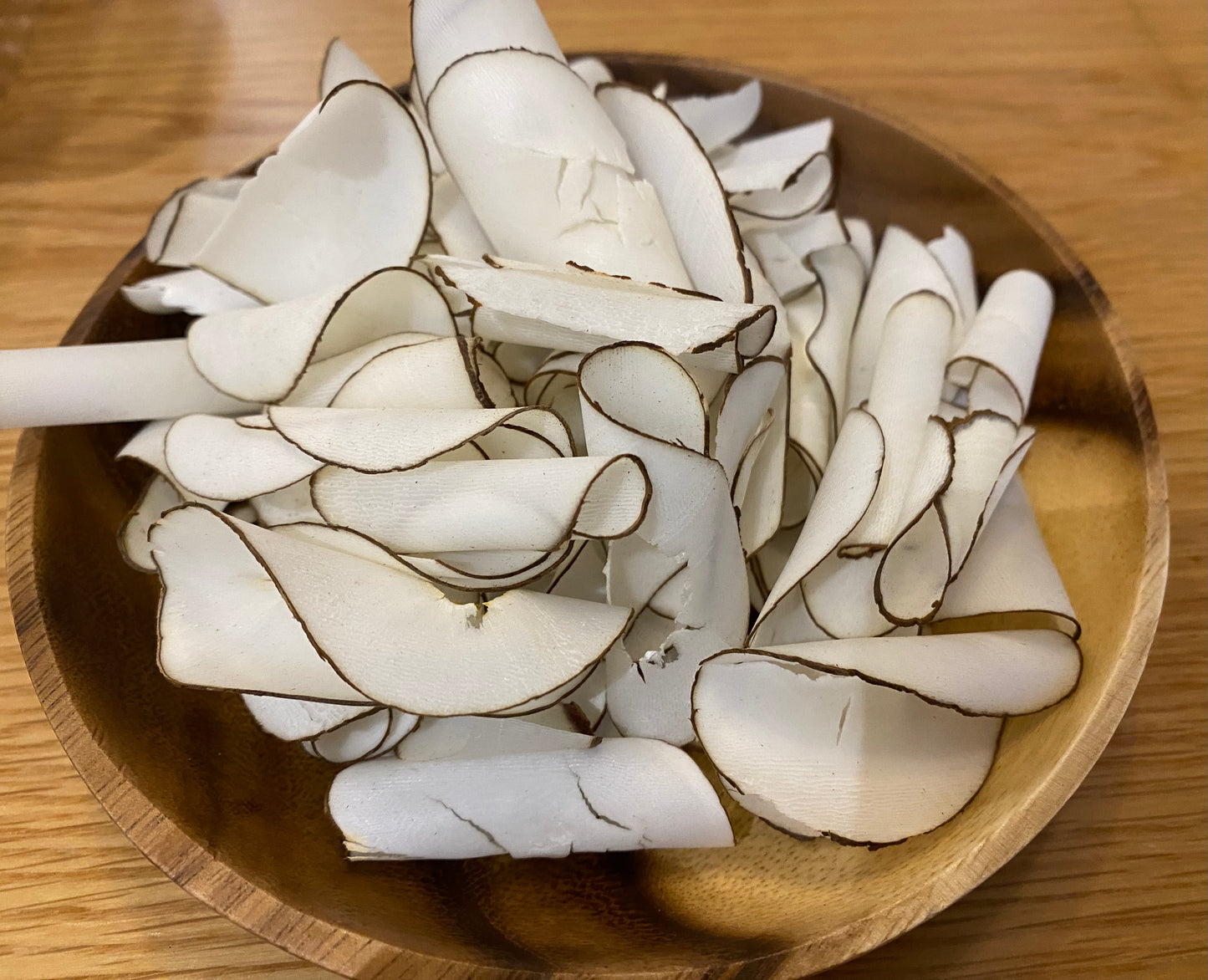 海底椰片