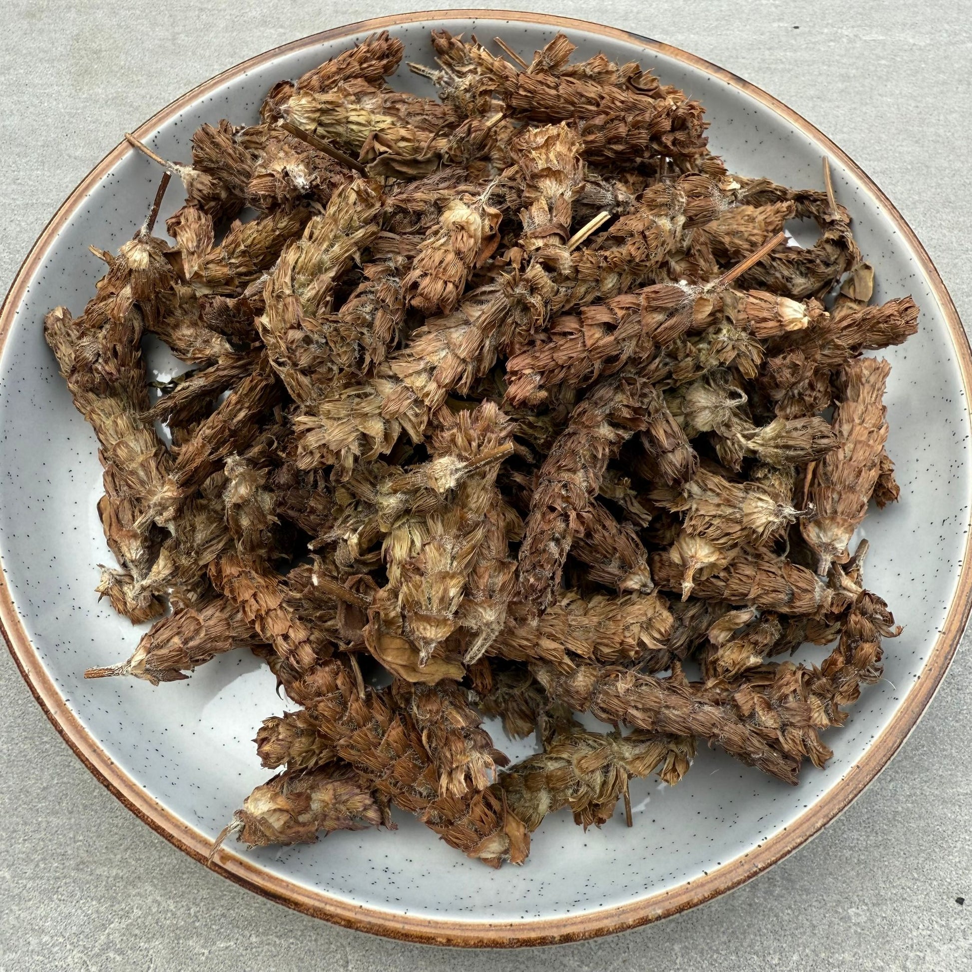 夏枯草
