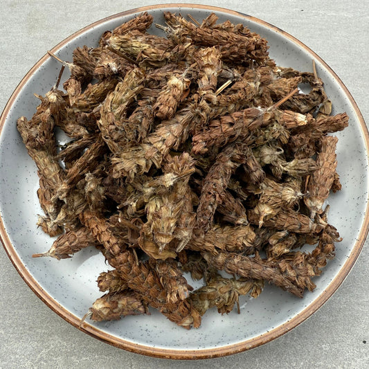夏枯草