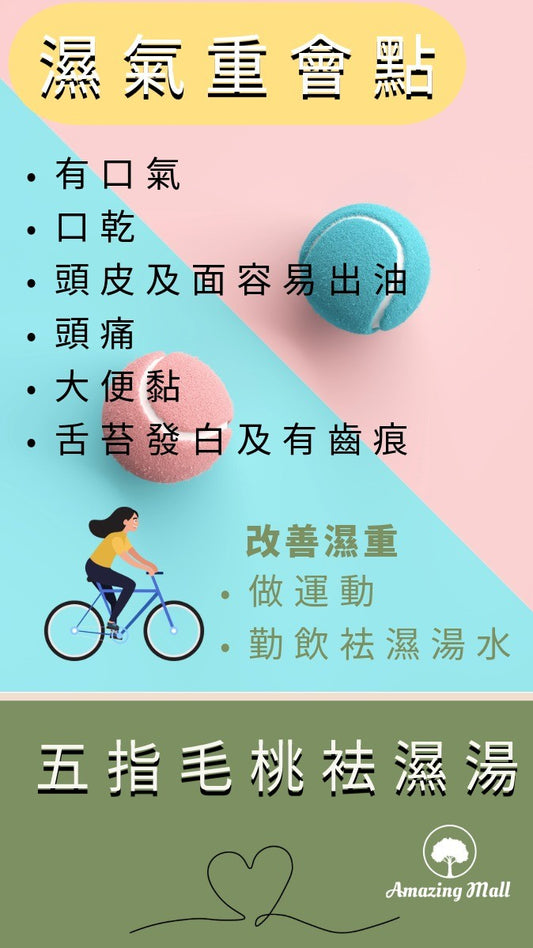 【改善濕重】五指毛桃袪濕湯